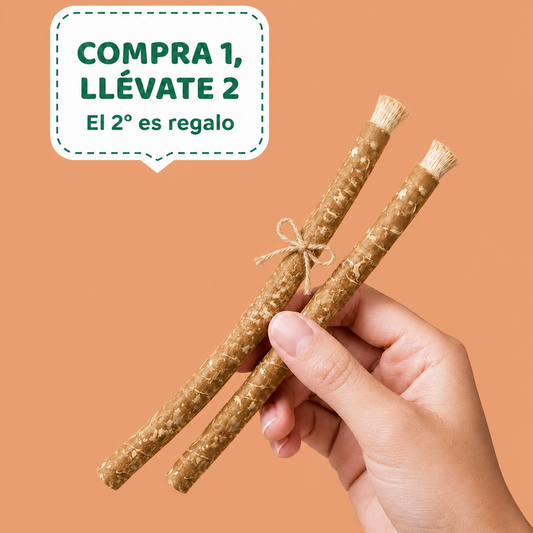 Miswak Palo