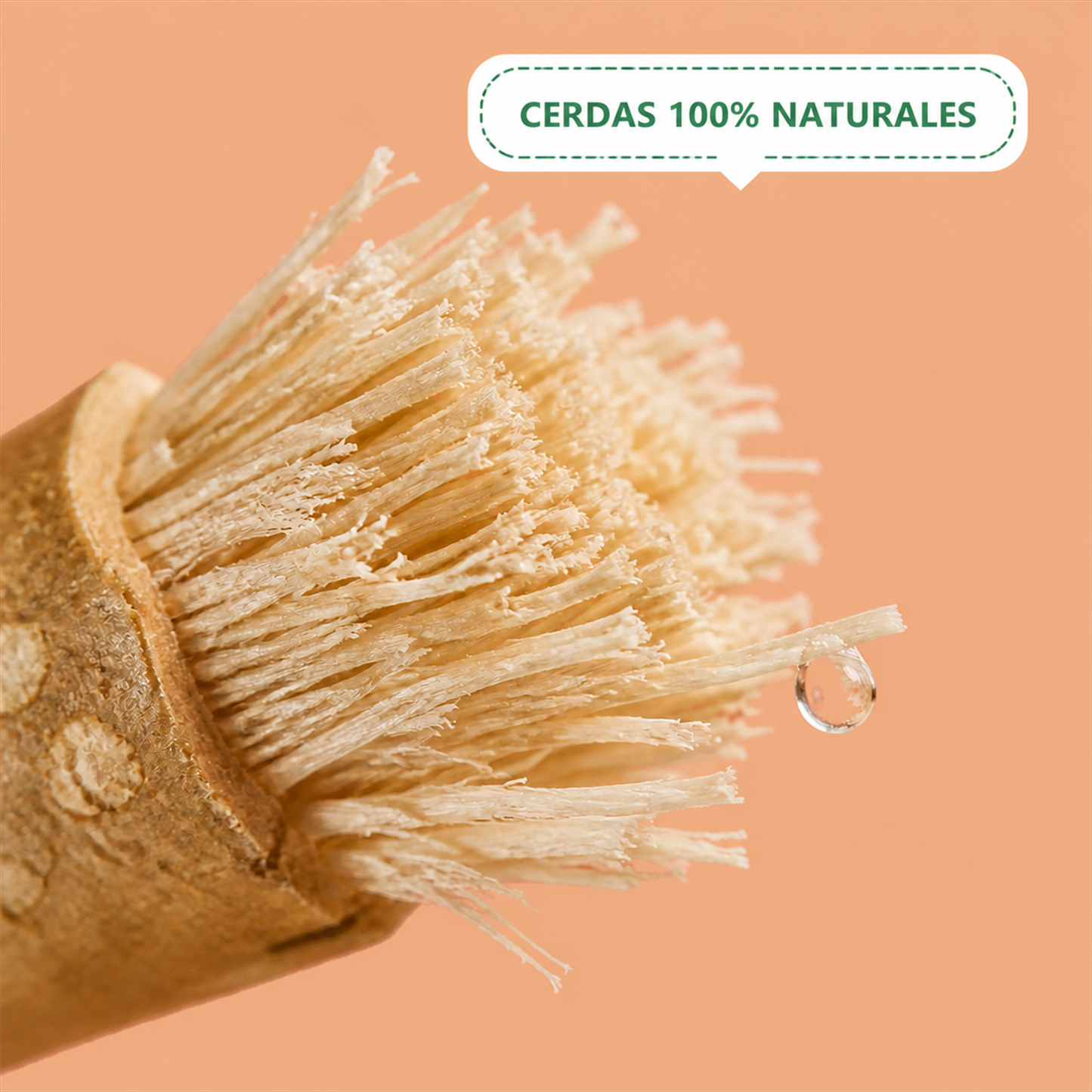 Miswak Palo